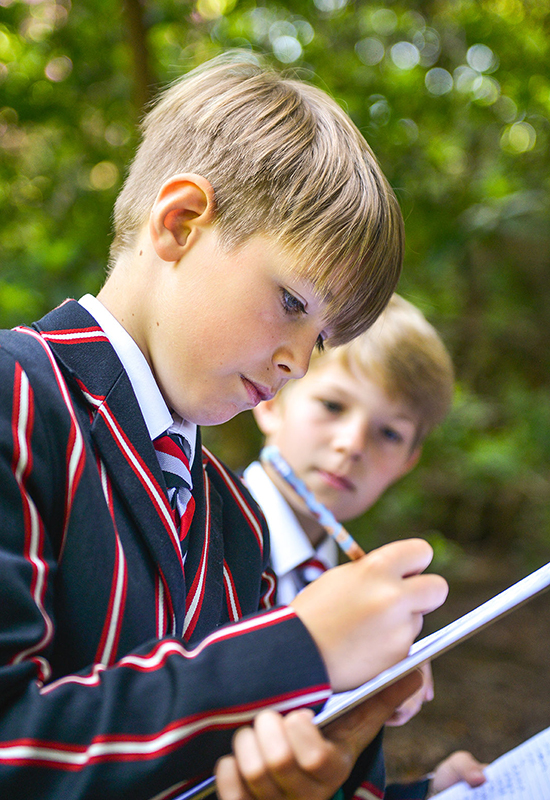 Children studying outside at Castle Court School, Dorset 