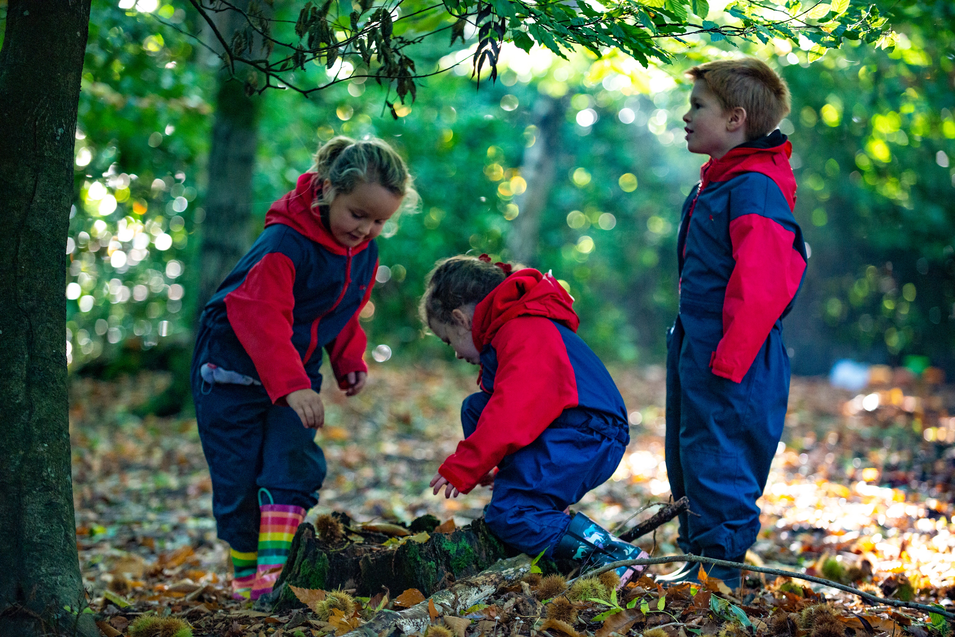 Pupils enjoying outdoor learning at Castle Court School, Wimborne, Dorset BH21 3RF