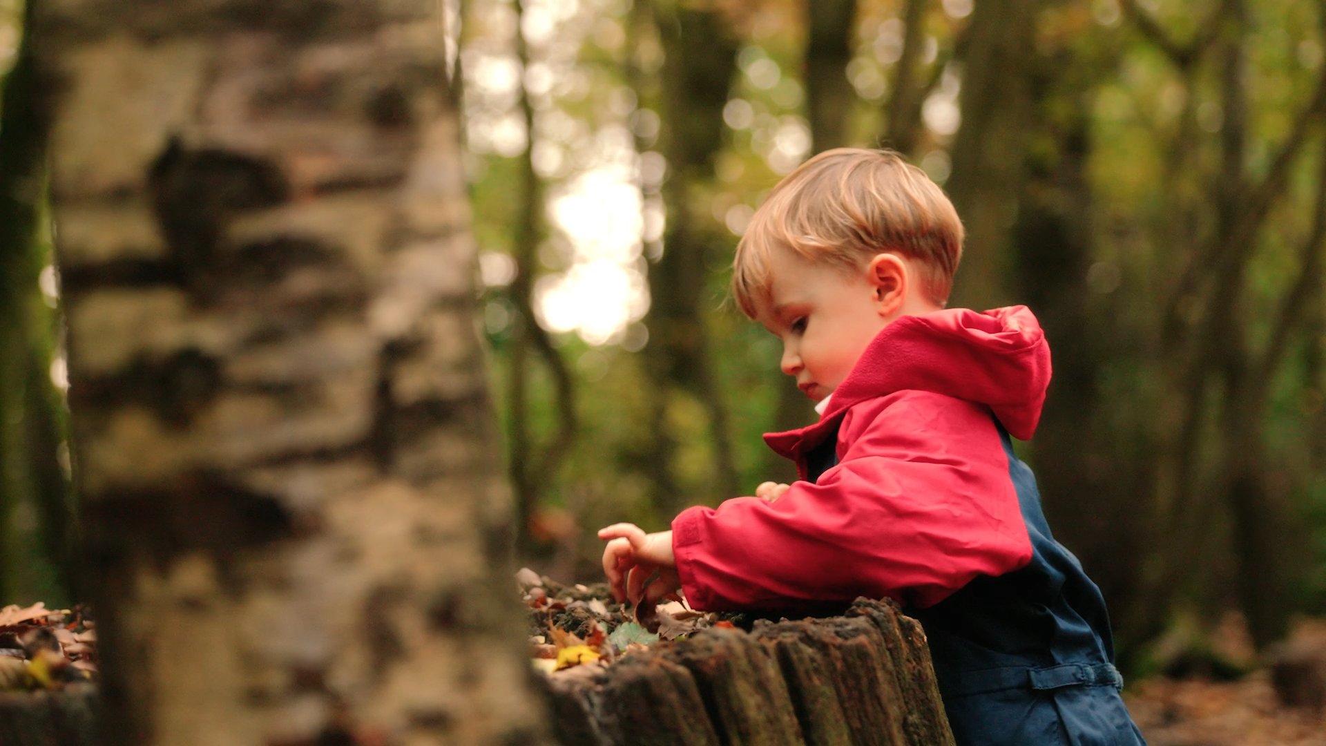 young student jumping to catch falling autumn leaves in the woodland