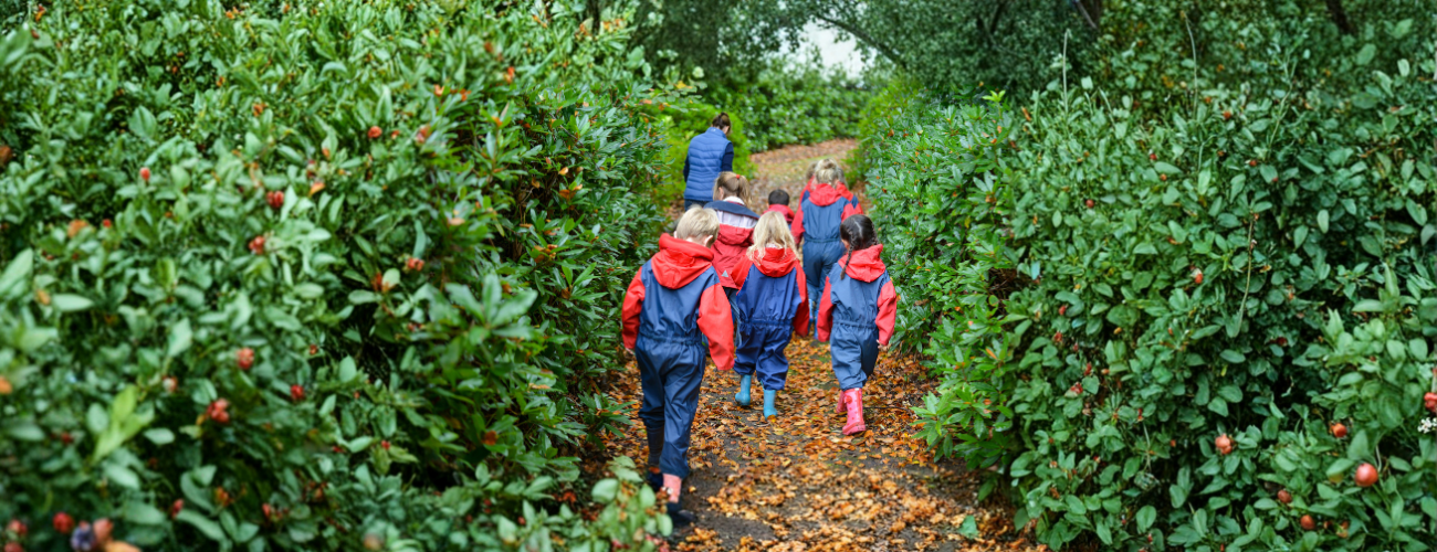 students walking through a woodland trail