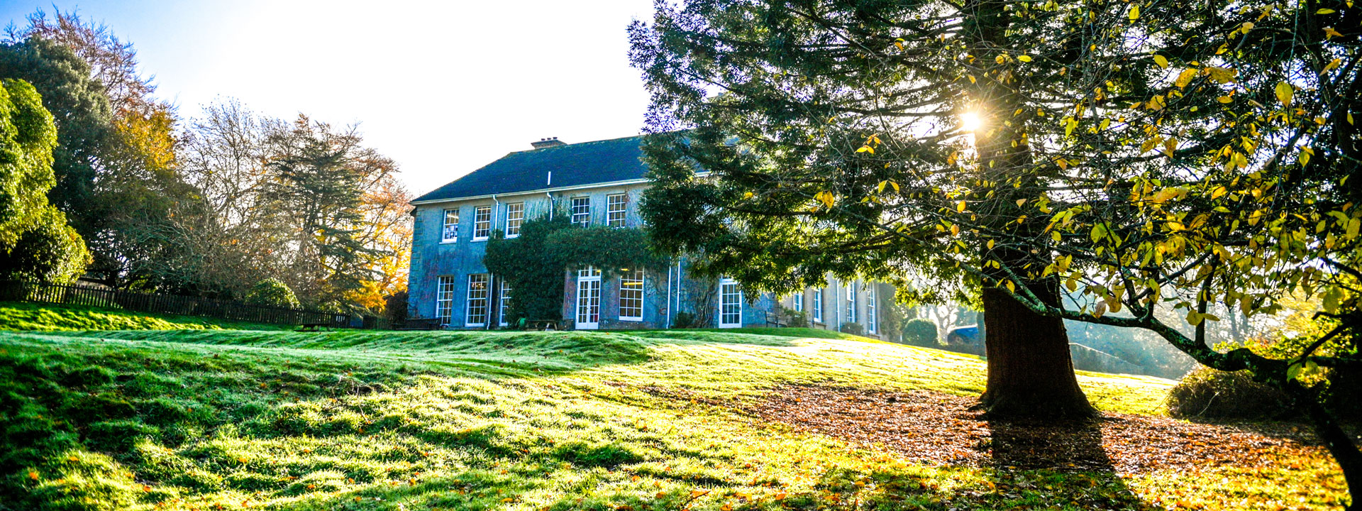 photo of the castle court school grounds
